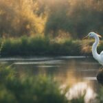 highly sensitive people